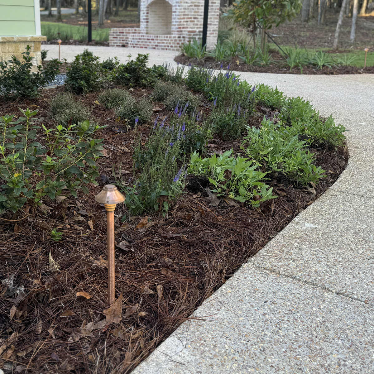 _Landscape Installation A freshly mulched bed with new plants